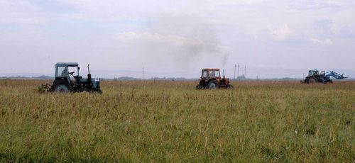 Чем живет Шанчы: проблемы и успехи крестьянско-фермерских хозяйств