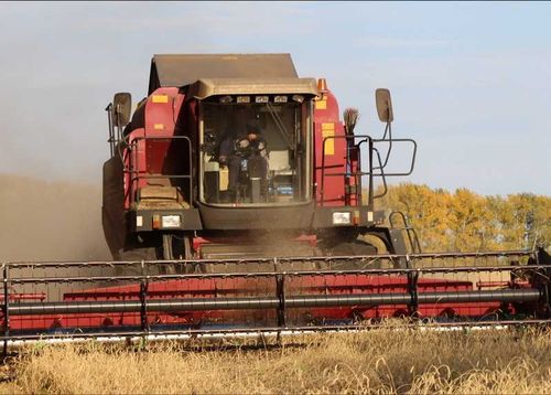 Тува: уборочную кампанию планируют завершить к середине октября