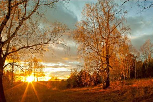 С чего начинается воспитание красоты…