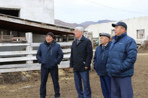 Кан-оол Даваа: Эффективные хозяйственники должны получать господдержку