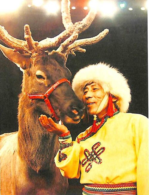 Тувинский чабан на цирковой арене