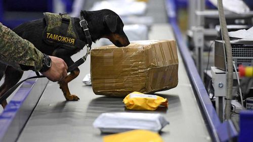 Ликвидирован международный канал контрабанды