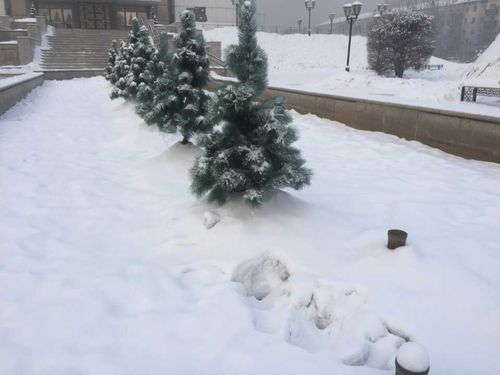 У кызылчан украли новогоднее настроение