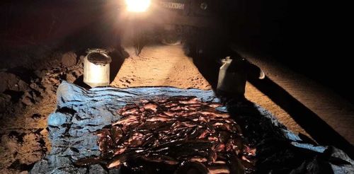 Биоресурсы Тувы под надежной защитой Росгвардии