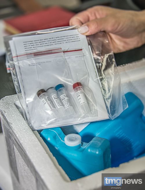 В Туву поступили тест-системы для диагностики коронавируса