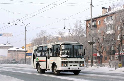 Кто работает во время карантина в Туве? 