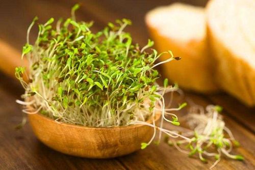 Россельхозцентр: Настоящие сертифицированные семена