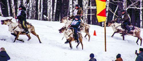 Тоолзуг Тожунуң ивижилери