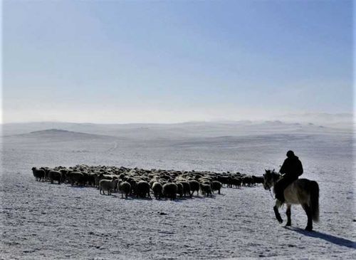 Зима еще в разгаре… На чабанских стоянках продолжают бороться со снежными заносами