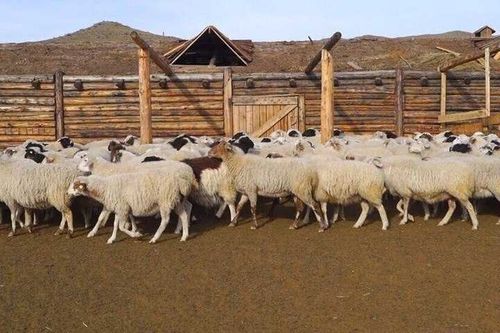 Участники «Кыштага для молодой семьи» - 2019