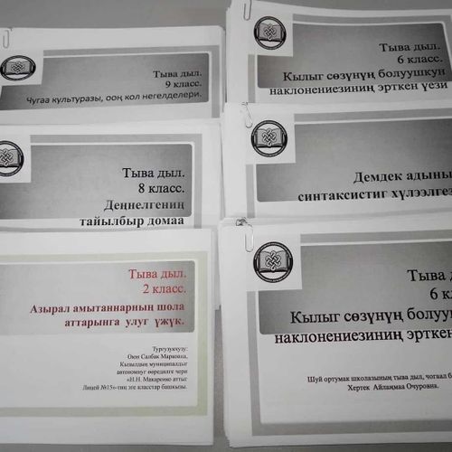 Школьников села Ырбан переводят на «заочку»