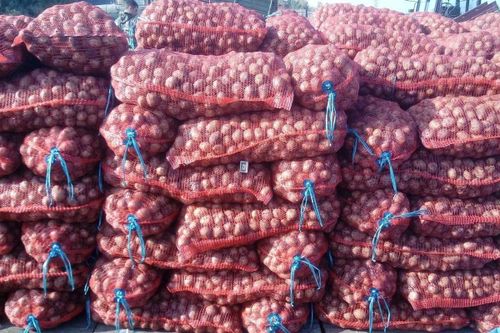 «Социальный картофель» в Кызыле 