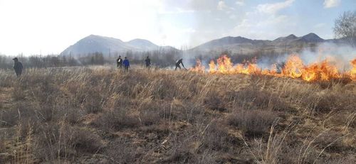 В Туве от пожара спасли чабанскую стоянку 