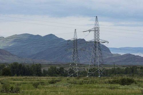 На юге Сибири установят птицезащитные устройства