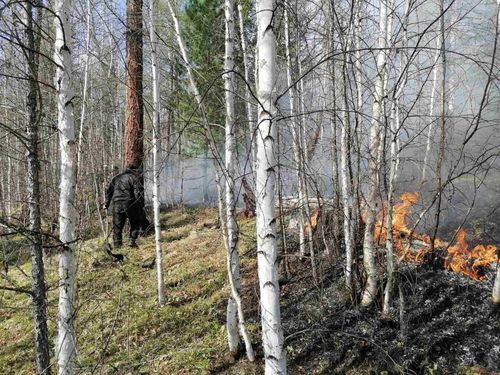 В Дзун-Хемчикском районе потушен крупный пожар