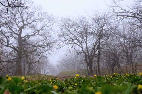 В Туве объявлено штормовое предупреждение