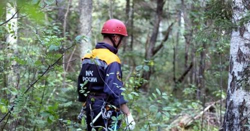 В лесах Тувы ищут мужчину