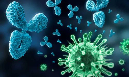 Антитела COVID-19 не уберегут от рецидива