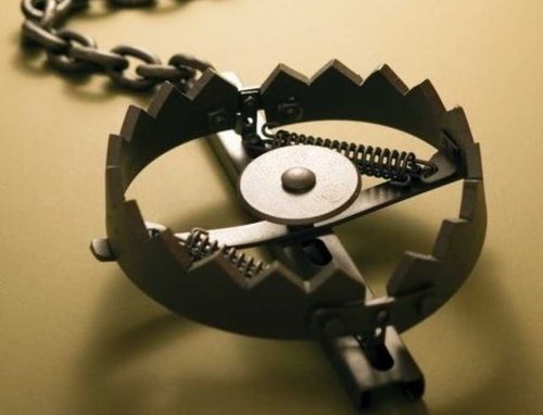 За использование капканов – штраф