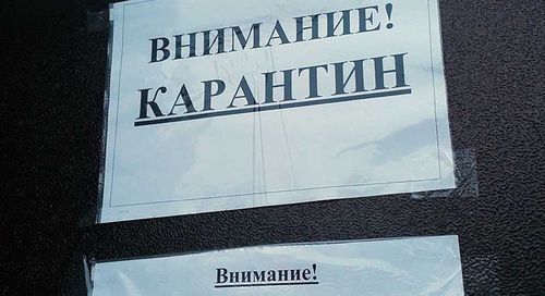 Кому в Туве можно работать во время карантина?