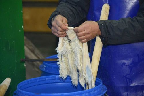 Кеш: Коронавирус не повод откладывать производство