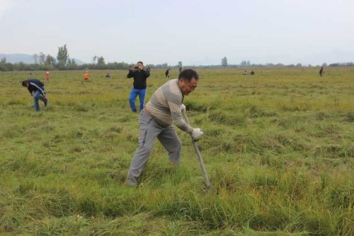 Глава Тувы призвал не откладывать сенокос