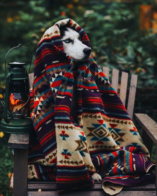 Завтра в Туве ожидаются сильные дожди