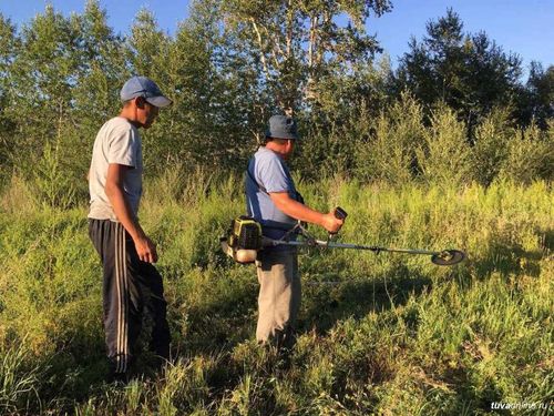 Работа в поле для безработных