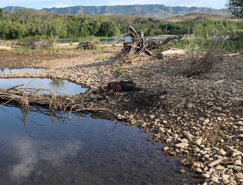 Человеческие скелеты у реки. Следствие просит помощи у населения в установлении личностей умерших
