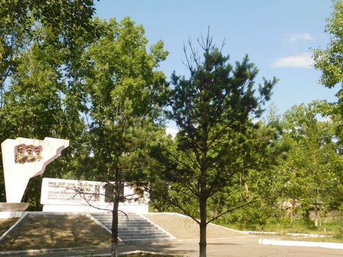 ​Аварийные деревья у мемориала