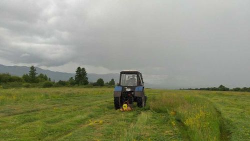 Осужденные пошли на сенокос