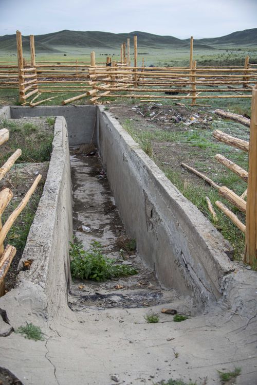 В Теве-Хая строят ванну для овец