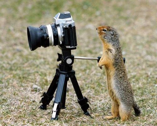 Фотоконкурс для тувинских охотников