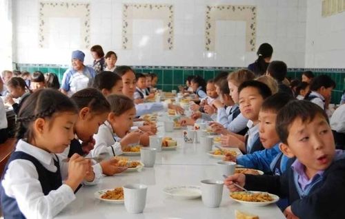 Бесплатное питание для школьников Тувы