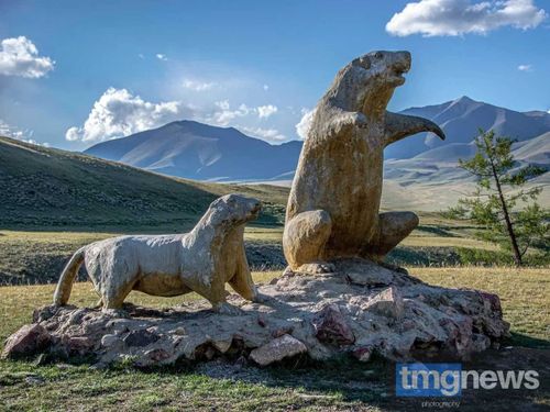 Рагу из сурка – лекарство или быстрая смерть от чумы?