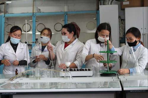 Студенты ТувГУ взялись за производство антисептиков