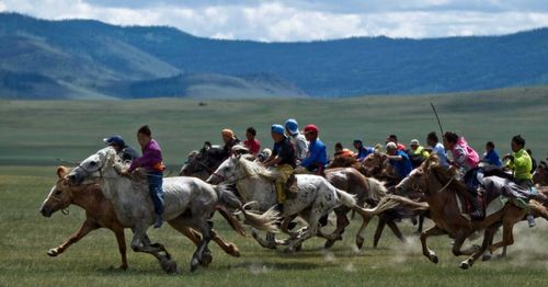 Наадым-2020: Итоги скачек