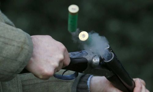 Мужчина, перепутавший друга с волком, предстанет перед судом за убийство