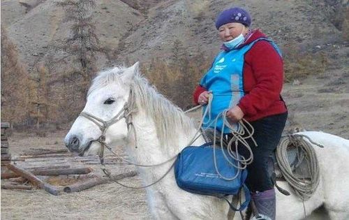 Первые в стране. В отдаленном районе Тувы завершается перепись населения