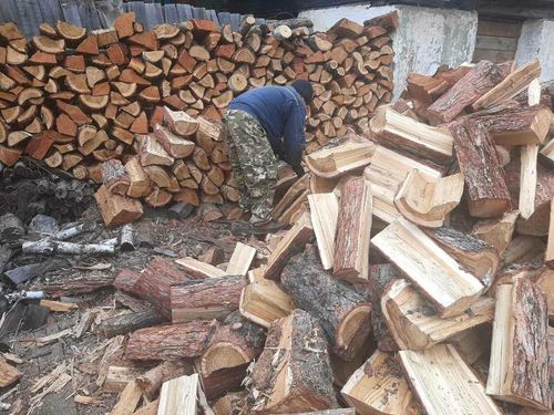 Жителям Тувы могут позволить рубить дрова до 25 кубических метров