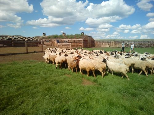 От «Кыштага» отсекли лишнее и сняли возрастные ограничения