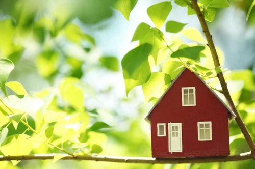 Все о «Дачной амнистии» в прямом эфире