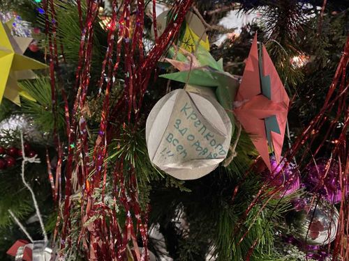 ОНФ Тувы перед ковид-госпиталем установил новогодние елки