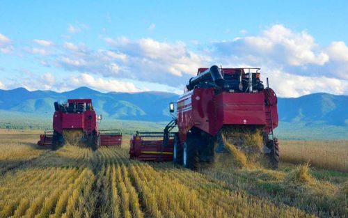 Айдын Дун: «Мы развиваем республику ради будущего наших детей»