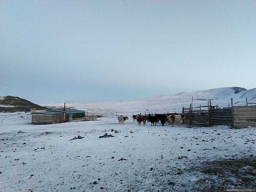 В Туве пропавшего школьника обнаружили на чабанской стоянке