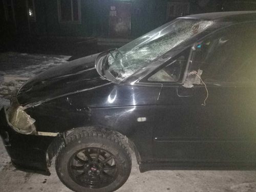 В Баруме водитель «Хонды» наехал на всадника