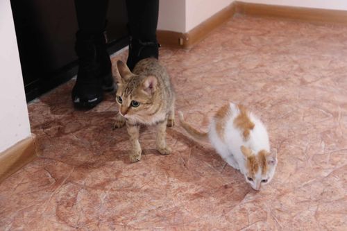 Сегодня новоселье на Иркутской, 18