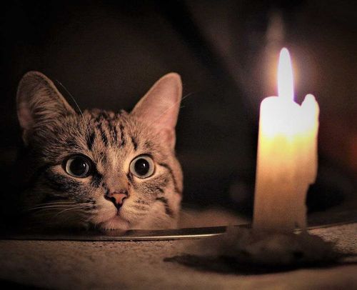 Сегодня в Кызыле отключают свет