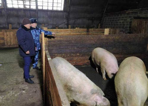 Продукцией заключенных заинтересовались в Минсельхозе Тувы