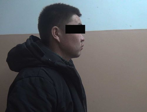 В Туве задержали банду скотокрадов